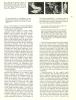 Heresies_01_049.jpg