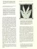 Heresies_01_075.jpg