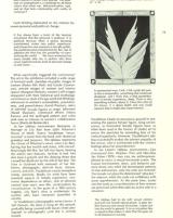 Citation block thumbnail